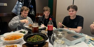 <?php the_title(); ?>