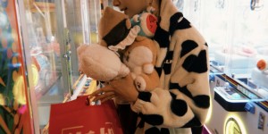 <?php the_title(); ?>