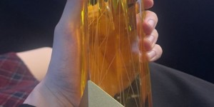 <?php the_title(); ?>