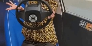 <?php the_title(); ?>