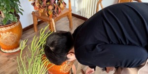 <?php the_title(); ?>