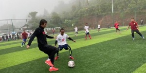 <?php the_title(); ?>