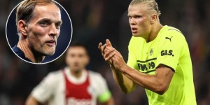 <?php the_title(); ?>