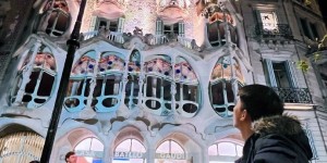 <?php the_title(); ?>