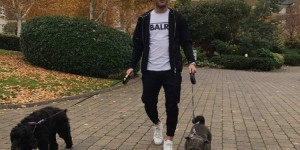 <?php the_title(); ?>