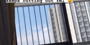 <?php the_title(); ?>