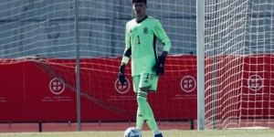 <?php the_title(); ?>