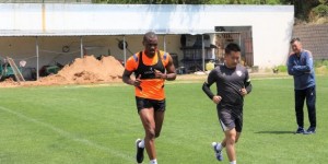 <?php the_title(); ?>