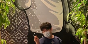 <?php the_title(); ?>