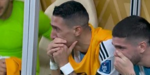 <?php the_title(); ?>