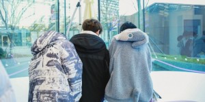 <?php the_title(); ?>