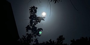 <?php the_title(); ?>