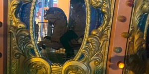 <?php the_title(); ?>