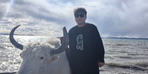 <?php the_title(); ?>