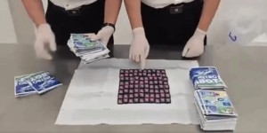 <?php the_title(); ?>