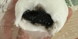 <?php the_title(); ?>