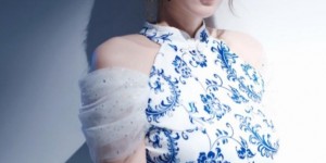 <?php the_title(); ?>