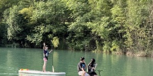 <?php the_title(); ?>