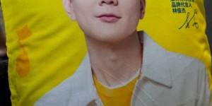 <?php the_title(); ?>