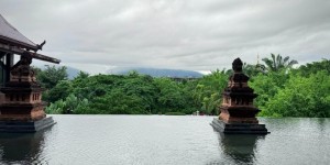 <?php the_title(); ?>