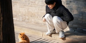 <?php the_title(); ?>