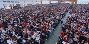 <?php the_title(); ?>