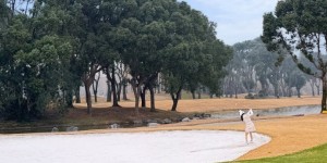 <?php the_title(); ?>