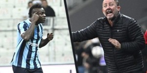 <?php the_title(); ?>