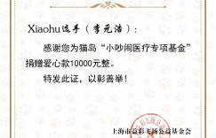 【沙巴娱乐】虎之爱心！Xiaohu：向上海猫岛捐赠一万元 用于救助当地流浪猫