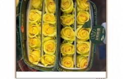 【沙巴娱乐】豆瓣粉丝分享：Meiko创业“姚安田野农业”卖花，并登上农业龙头企业认定名单