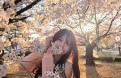 【沙巴娱乐】Showmaker美女粉丝晒照：今年的樱花盛开了🌸🌸🌸