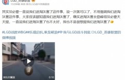 【沙巴娱乐】LGD官博整活：进淘汰赛去登峰组没必要天天提 一直说也不太好