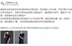 【沙巴娱乐】爆料人：TES和WBG两家俱乐部还没有互换（打野）的想法！
