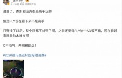 【沙巴娱乐】经纪人评NAVI横扫FLY：杰斯和派克都高手玩的 但FLY看来不是高手