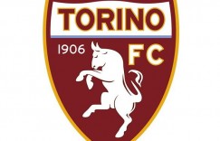 【沙巴娱乐】官方：都灵队内出现第3例新冠阳性病例